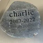 A rock with the name charlie written on it.