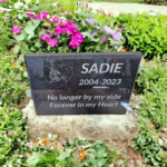 A grave marker with the name of sadie and date.